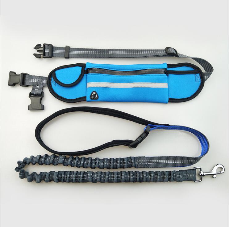 Hands-Free Dog Running Leash with Waist Pocket Adjustable Belt Shock Absorbing Bungee - Pets Crazy Shops
