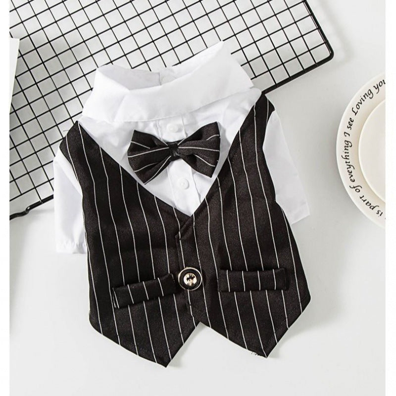 Small dog suit clothes - Pets Crazy Shops