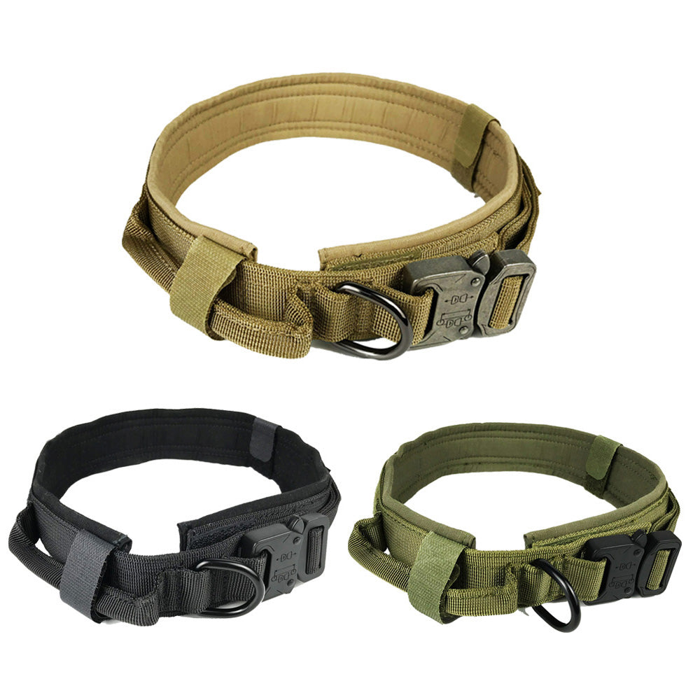 Dog collar - Pets Crazy Shops
