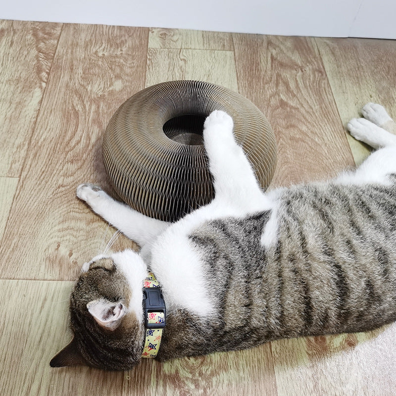 Magic Organ Cat Scratchers 2 In 1 Funny Shaped Cat Scratching Board Foldable Convenient Recyclable Durable Cat Scratcher - Pets Crazy Shops