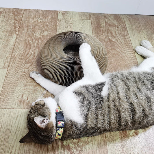 Magic Organ Cat Scratchers 2 In 1 Funny Shaped Cat Scratching Board Foldable Convenient Recyclable Durable Cat Scratcher - Pets Crazy Shops