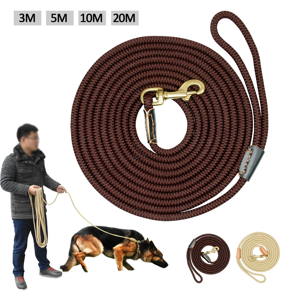 Dog training belt - Pets Crazy Shops