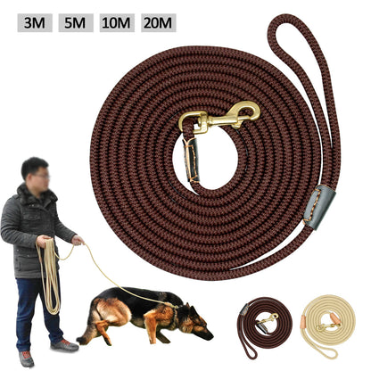 Dog training belt - Pets Crazy Shops