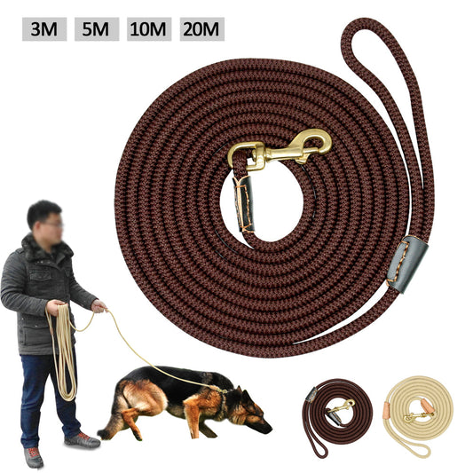 Dog training belt - Pets Crazy Shops