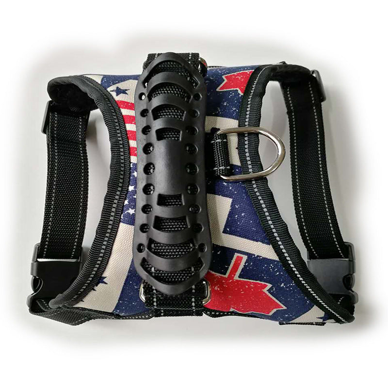 Dog leashes for pet leashes - Pets Crazy Shops