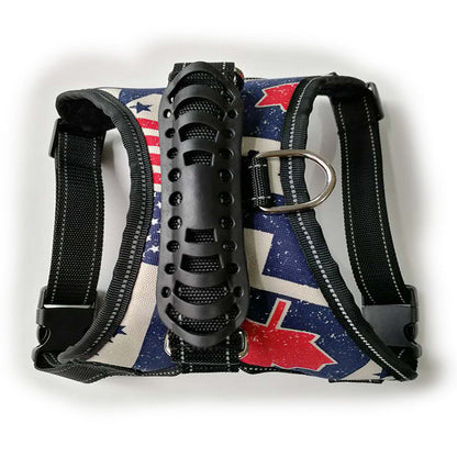 Dog leashes for pet leashes - Pets Crazy Shops