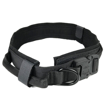 Dog collar - Pets Crazy Shops