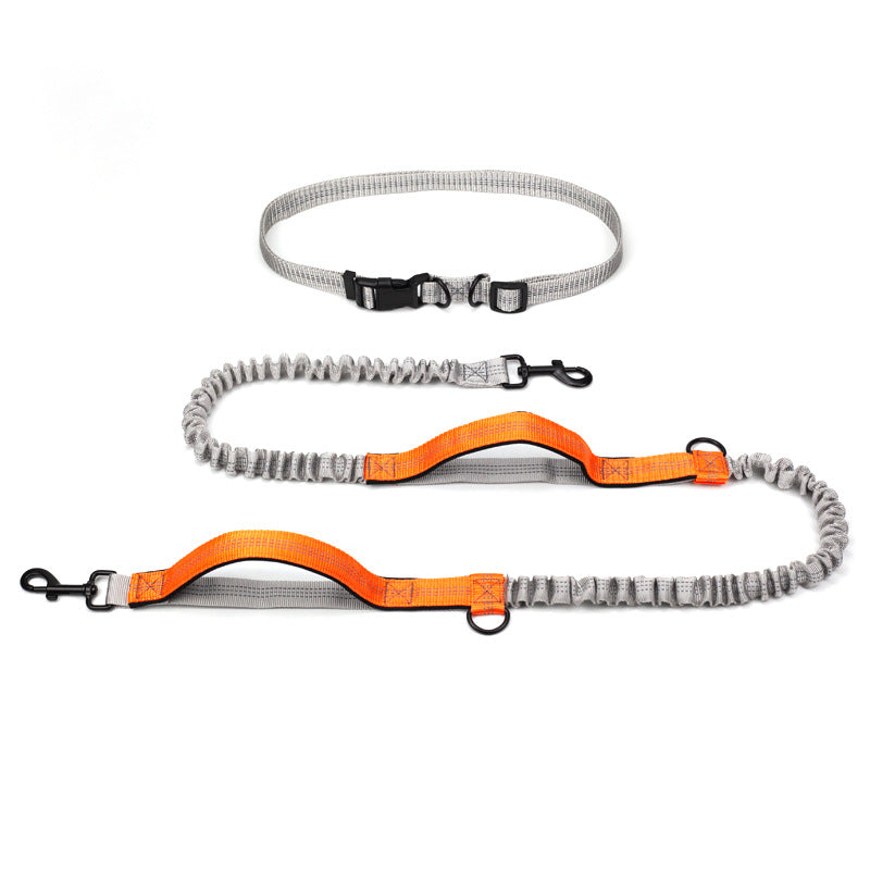 Pet Supplies Outdoor Running Dog Leash - Pets Crazy Shops