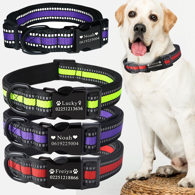 Custom dog collar - Pets Crazy Shops