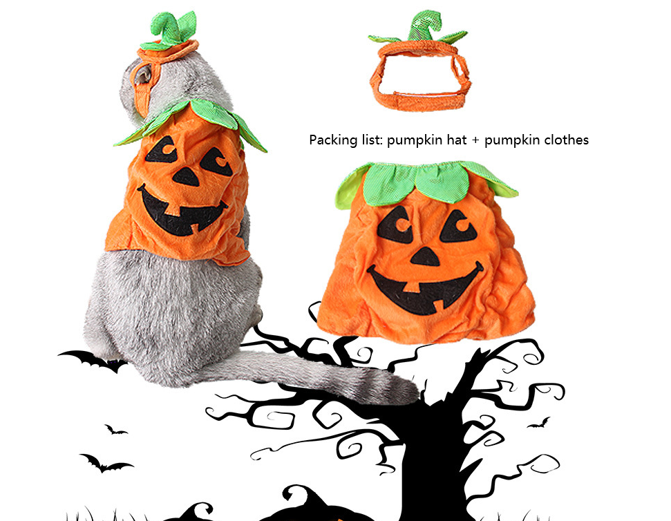 Halloween Pet Cats Costume Props Creative Pumpkin Shape Green Leaf Decoration Cosplay Clothing Holiday Garment Supplies - Pets Crazy Shops