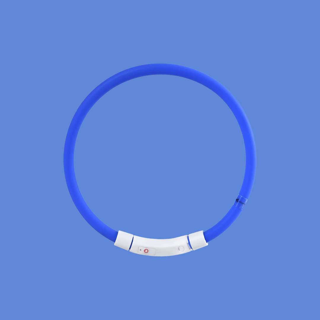 Pet Light Collar Anti-Lost Collar for Dogs Pet Collars - Pets Crazy Shops
