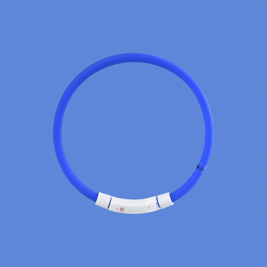 Pet Light Collar Anti-Lost Collar for Dogs Pet Collars - Pets Crazy Shops