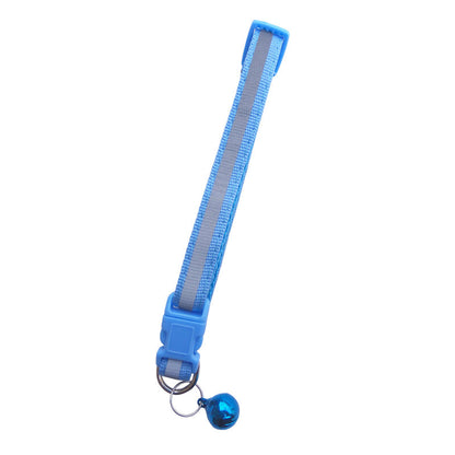 Fluorescent dog collar - Pets Crazy Shops