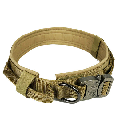 Dog collar - Pets Crazy Shops