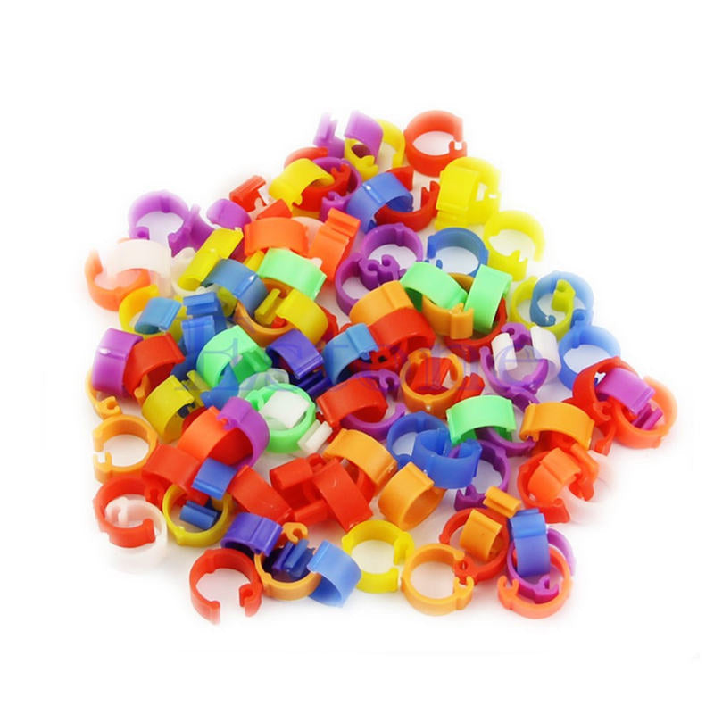 100 PCS the chicken foot ring - Pets Crazy Shops