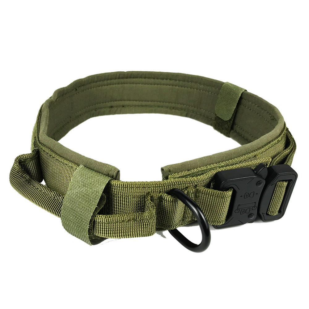 Dog collar - Pets Crazy Shops