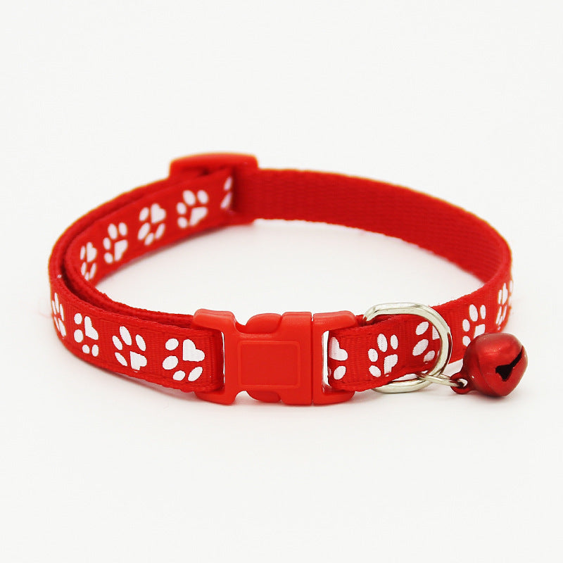 The pet cat wears a bell collar - Pets Crazy Shops