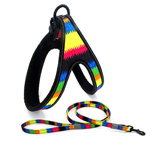 Colorful Dog Leash Dog Walking Rope Small And Medium-sized Dog Explosion-proof Dog Chain - Pets Crazy Shops