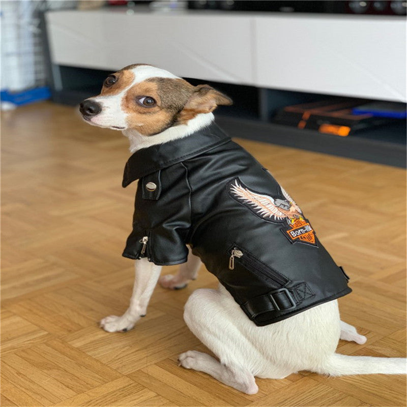 Dog coat - Pets Crazy Shops