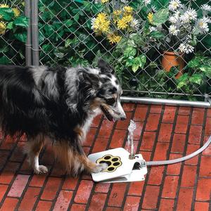 Outdoor Dog Pet Water Fountain - Pets Crazy Shops