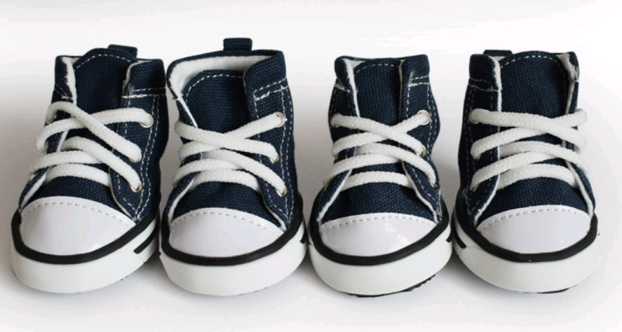 Pet denim canvas shoes dog shoes, sports and leisure waterproof non-slip dog shoes breathable and comfortable - Pets Crazy Shops