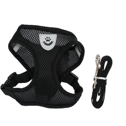 Pet chest strap - Pets Crazy Shops