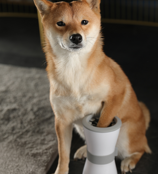 Electric foot washing cups for pets - Pets Crazy Shops