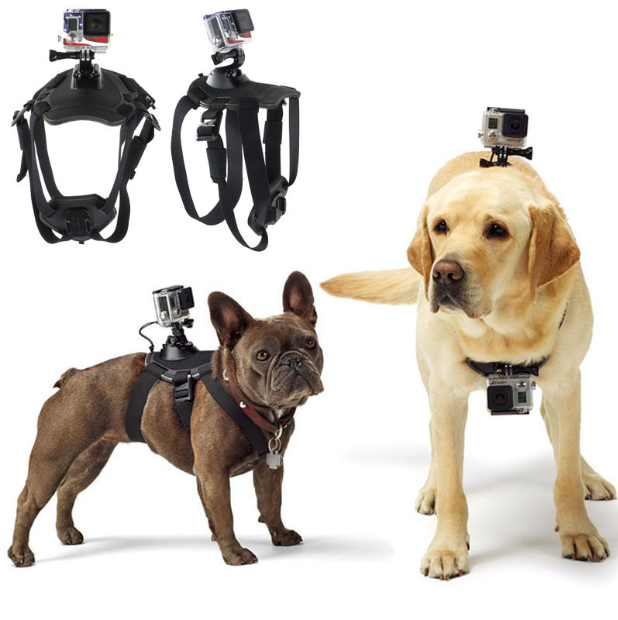 GoPro Hero Dog Strap Belt Harness - Pets Crazy Shops