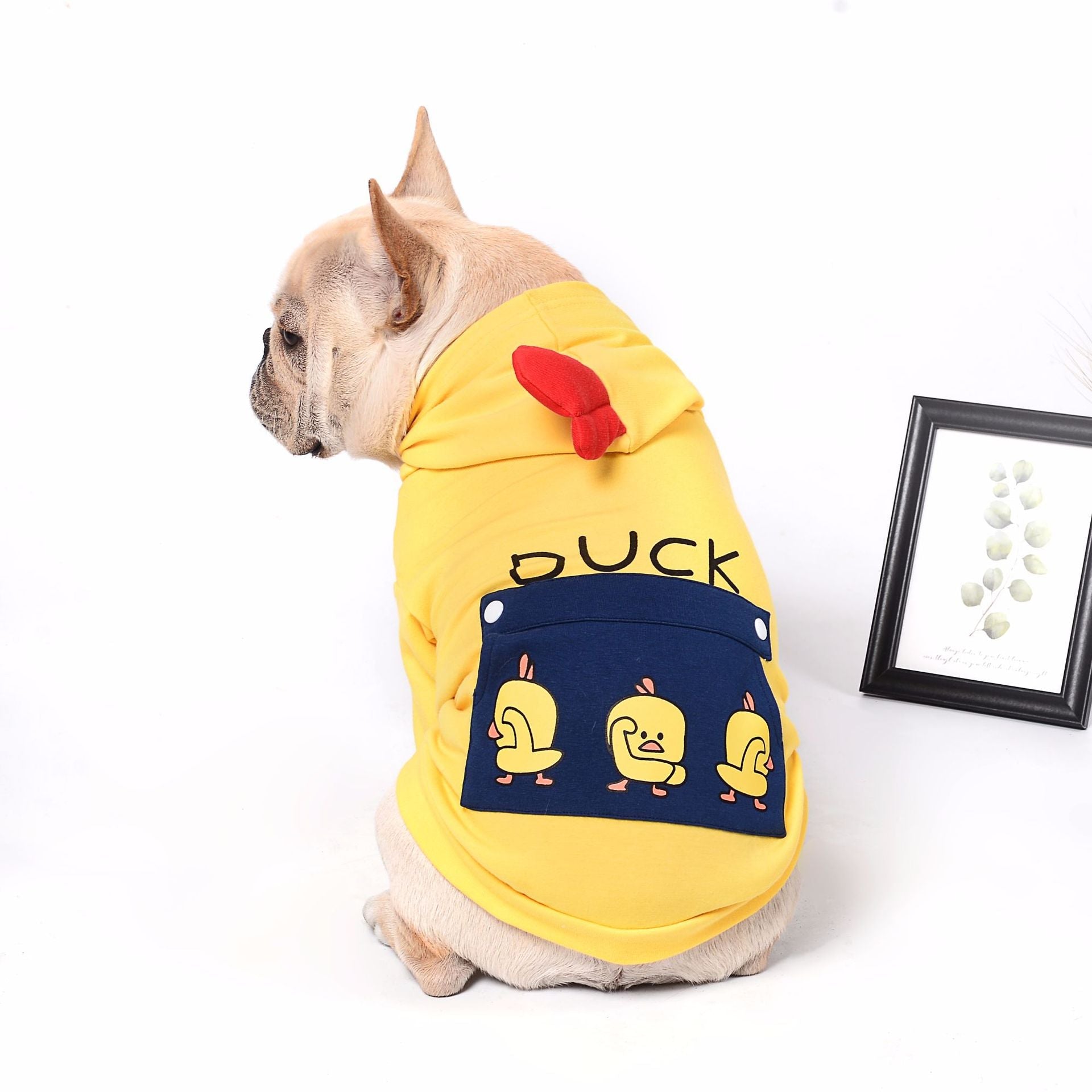 Pet dog clothes - Pets Crazy Shops