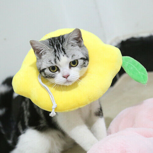 Adjustable Pet Neck Cone Recovery Pet Cat Recovery Collar Cat Soft Lemon Neck Cone Adjustable Pet E Collar After Surgery, Wound Healing Protective Cat Elizabethan Collar For Kitten & Puppy - Pets Crazy Shops