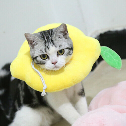 Adjustable Pet Neck Cone Recovery Pet Cat Recovery Collar Cat Soft Lemon Neck Cone Adjustable Pet E Collar After Surgery, Wound Healing Protective Cat Elizabethan Collar For Kitten & Puppy - Pets Crazy Shops