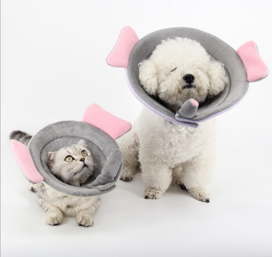 Pet Protection Collar Collar Flower Protection Collar Pet Grooming Kits Dog Bite Ring Birth Control - Pets Crazy Shops