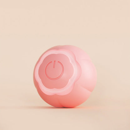 Pet Smart Rolling Ball Cat Toy Bite-resistant Boredom Relief - Pets Crazy Shops