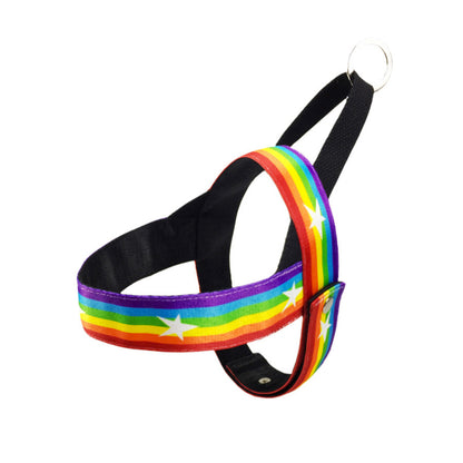 Rainbow cool dog chain dog leash - Pets Crazy Shops