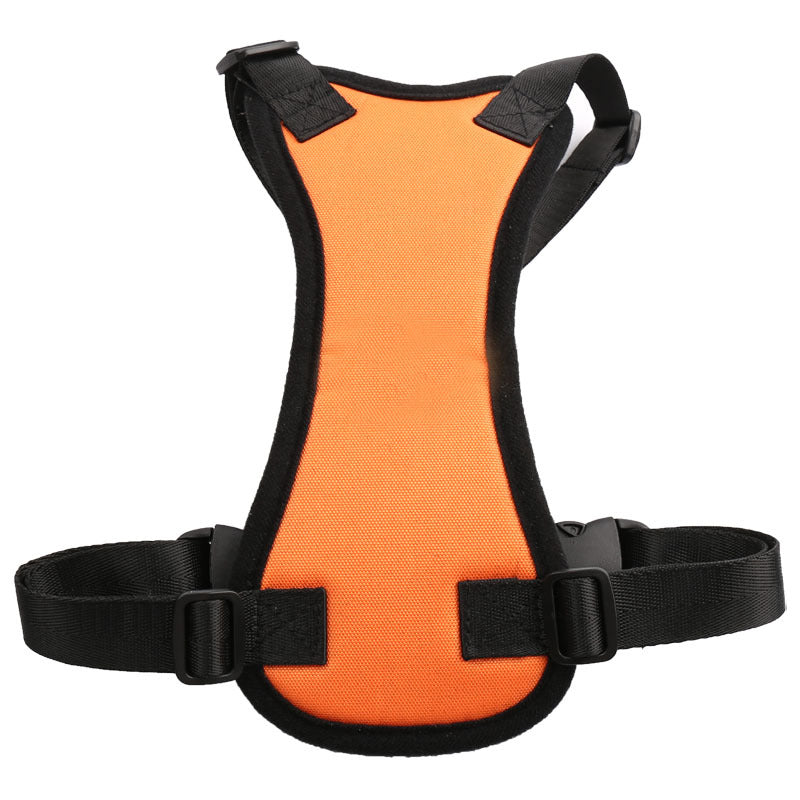 Car seat belts for pets - Pets Crazy Shops
