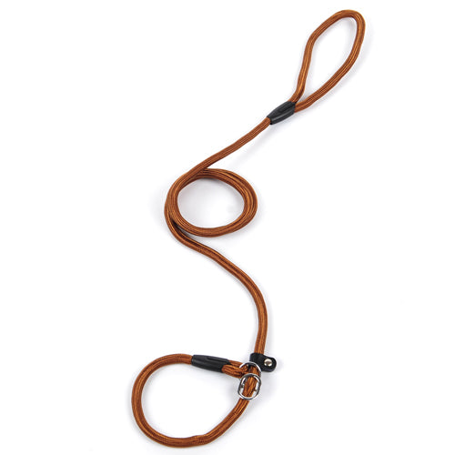 Dog leash dog leash pet leash - Pets Crazy Shops