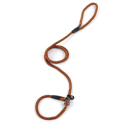 Dog leash dog leash pet leash - Pets Crazy Shops