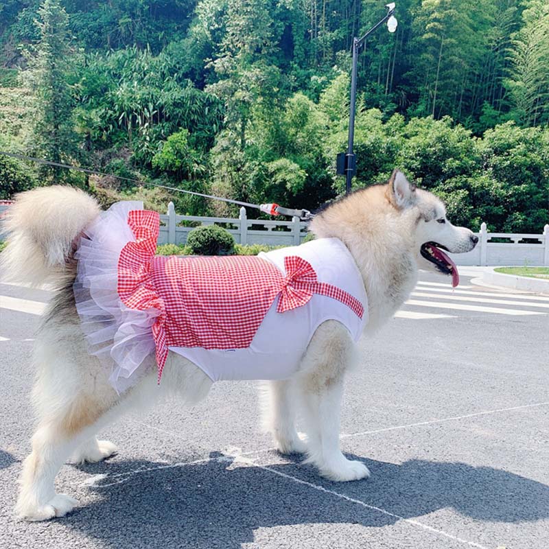 Dog Clothes Princess Dog Costume Labrador Golden Retriever Big Dog Clothes - Pets Crazy Shops