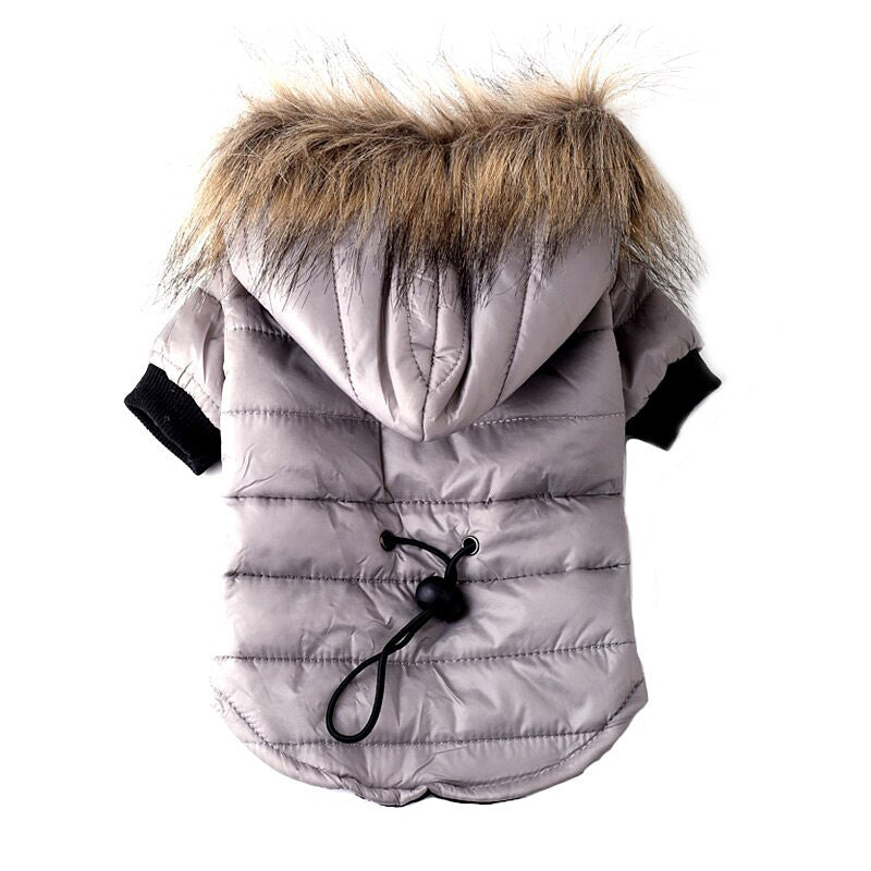Pet Clothing Autumn And Winter Pet Sweater Teddy - Pets Crazy Shops