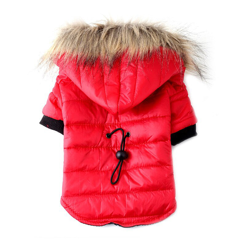 Pet Clothing Autumn And Winter Pet Sweater Teddy - Pets Crazy Shops
