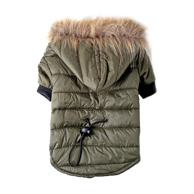 Pet Clothing Autumn And Winter Pet Sweater Teddy - Pets Crazy Shops