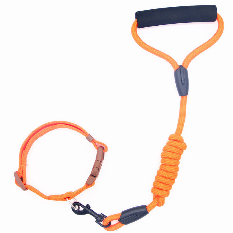 Pet Leash Dog Collar, Dog Leash, Dog Chain - Pets Crazy Shops