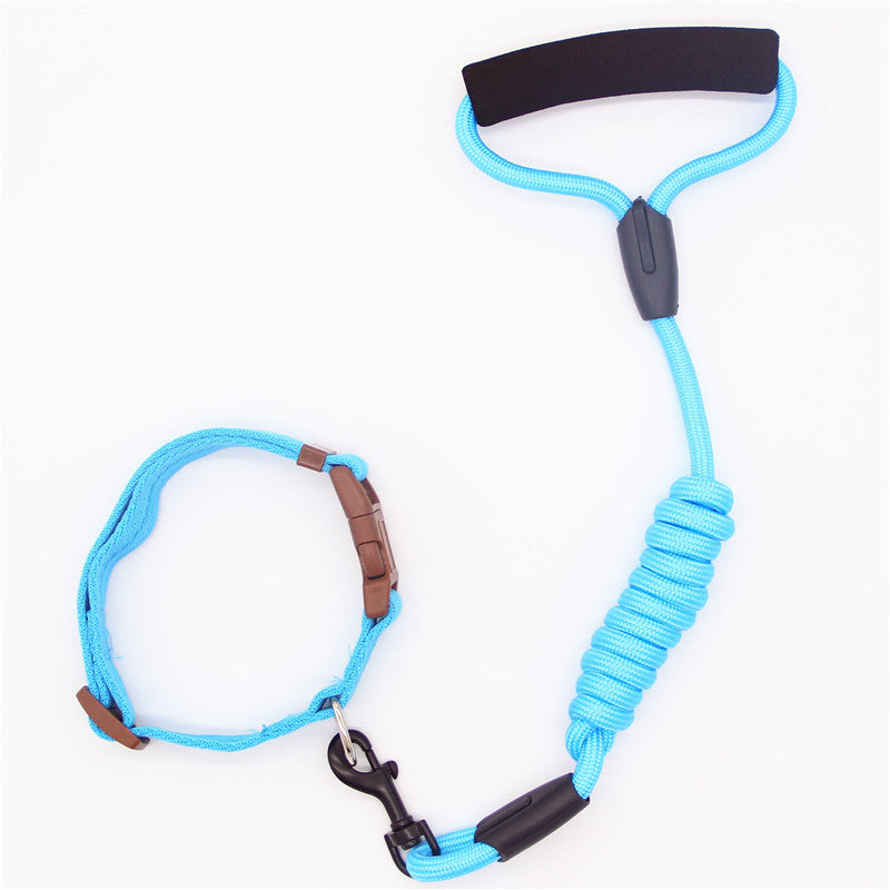 Pet Leash Dog Collar, Dog Leash, Dog Chain - Pets Crazy Shops