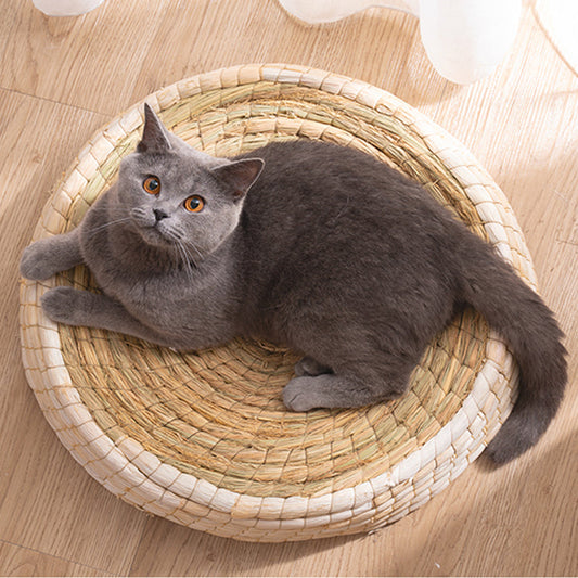 Teng Wok Felt House Cat Bed  -  - Pets Crazy Shops -