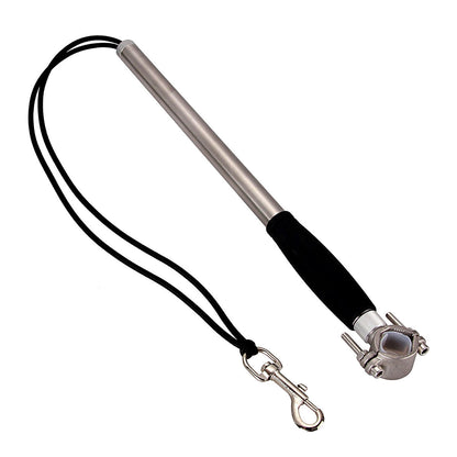 Stainless Steel Bike Leash for Pet Dogs - Pets Crazy Shops