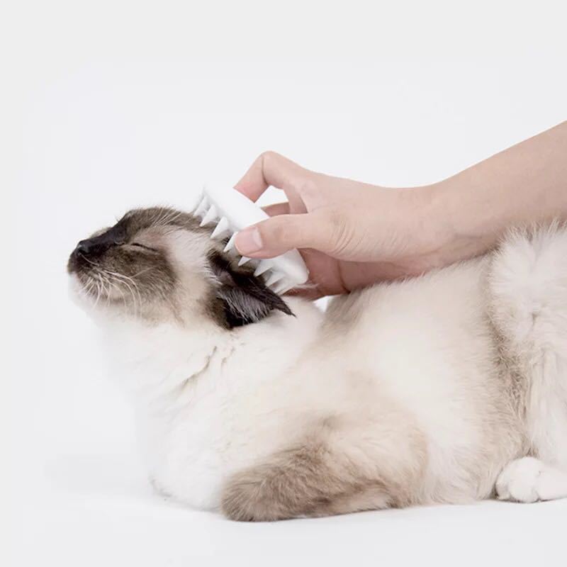 Cat Gloves Cat Grooming - Pets Crazy Shops