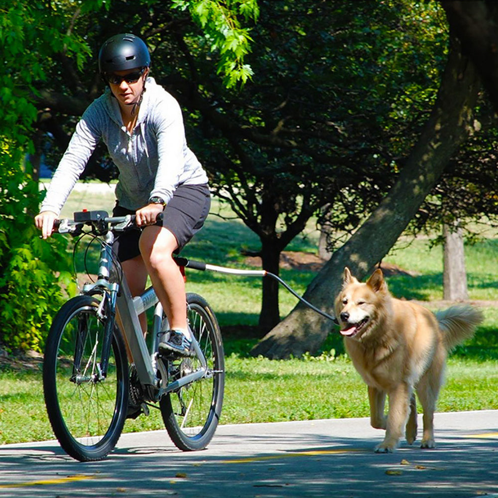 Stainless Steel Bike Leash for Pet Dogs - Pets Crazy Shops