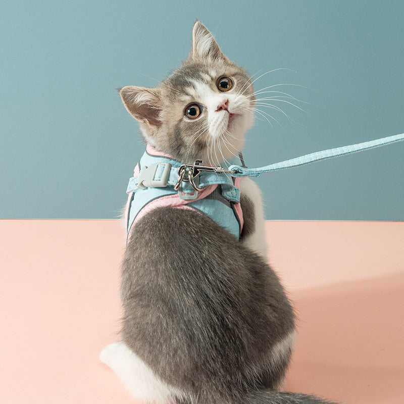 Cat Traction Rope Chest Strap To Prevent Breaking Free Pets Cat Strap - Pets Crazy Shops
