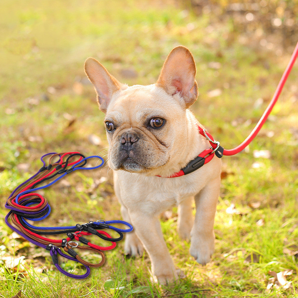 Dog leash dog leash pet leash - Pets Crazy Shops