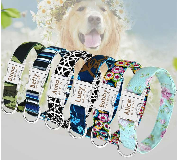 Pet Dog Name Collar Custom Large Dog Collar Lettering Tag - Pets Crazy Shops
